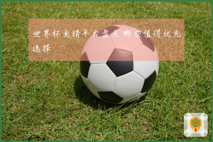 世界杯竞猜平台盘点 哪些值得优先选择