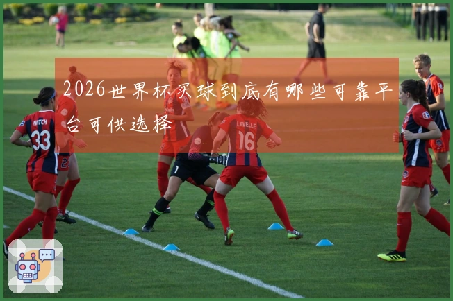 2026世界杯买球到底有哪些可靠平台可供选择