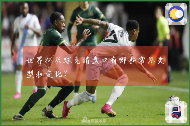 世界杯买球竞猜盘口有哪些常见类型和变化？