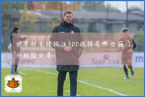 世界杯竞猜投注App选择有哪些窍门和经验分享