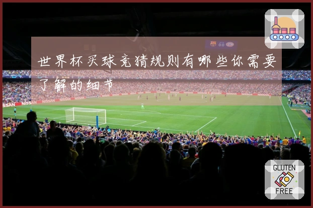 世界杯买球竞猜规则有哪些你需要了解的细节