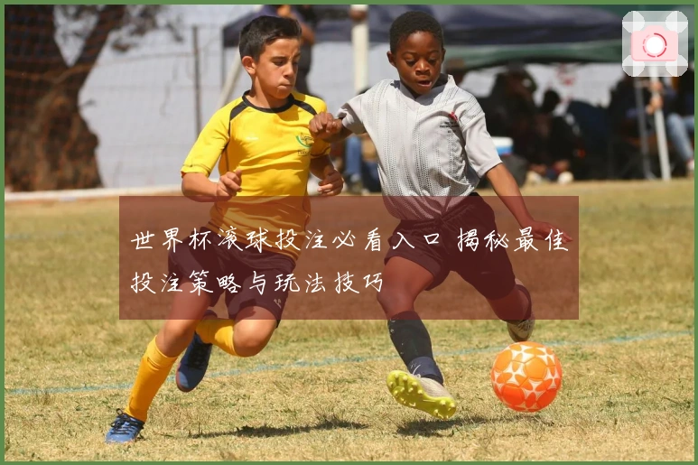 世界杯滚球投注必看入口 揭秘最佳投注策略与玩法技巧