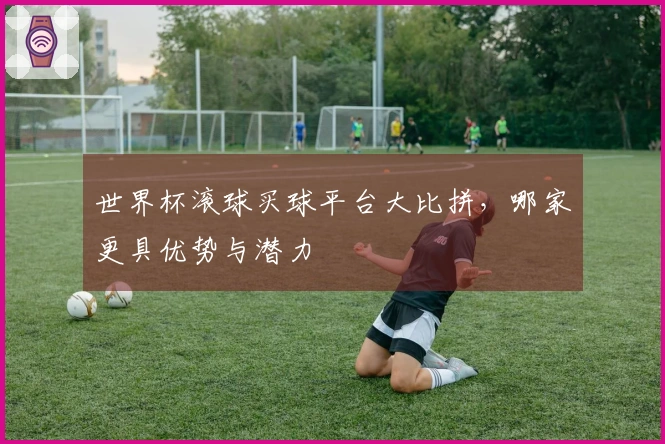 世界杯滚球买球平台大比拼，哪家更具优势与潜力
