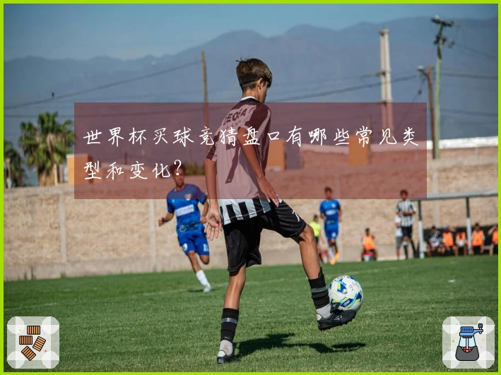 世界杯买球竞猜盘口有哪些常见类型和变化？