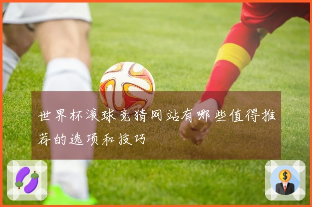 世界杯滚球竞猜网站有哪些值得推荐的选项和技巧