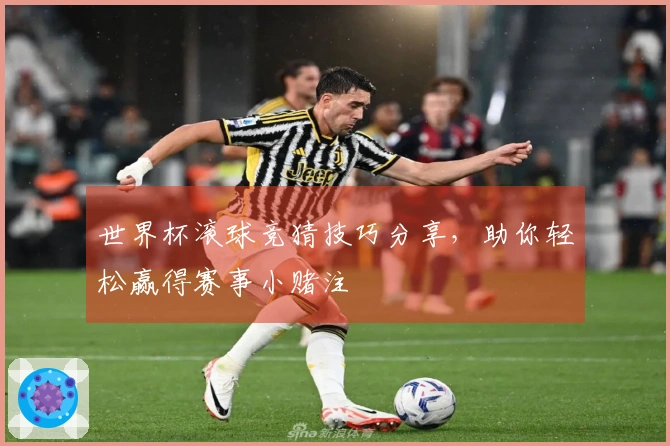 世界杯滚球竞猜技巧分享，助你轻松赢得赛事小赌注