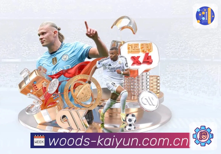 稳定入口 - 备用网址与快速跳转